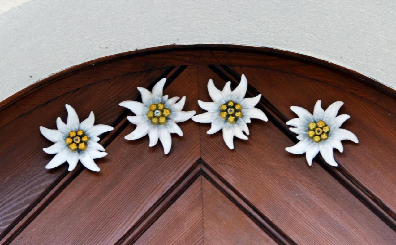 Kapellblick Daire Schruns Dış mekan fotoğraf