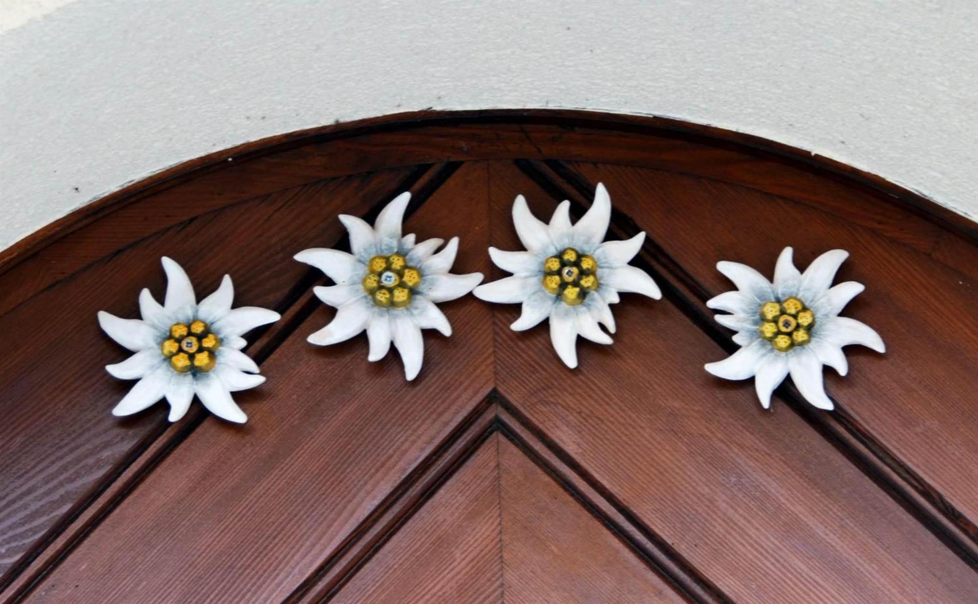 Kapellblick Daire Schruns Dış mekan fotoğraf